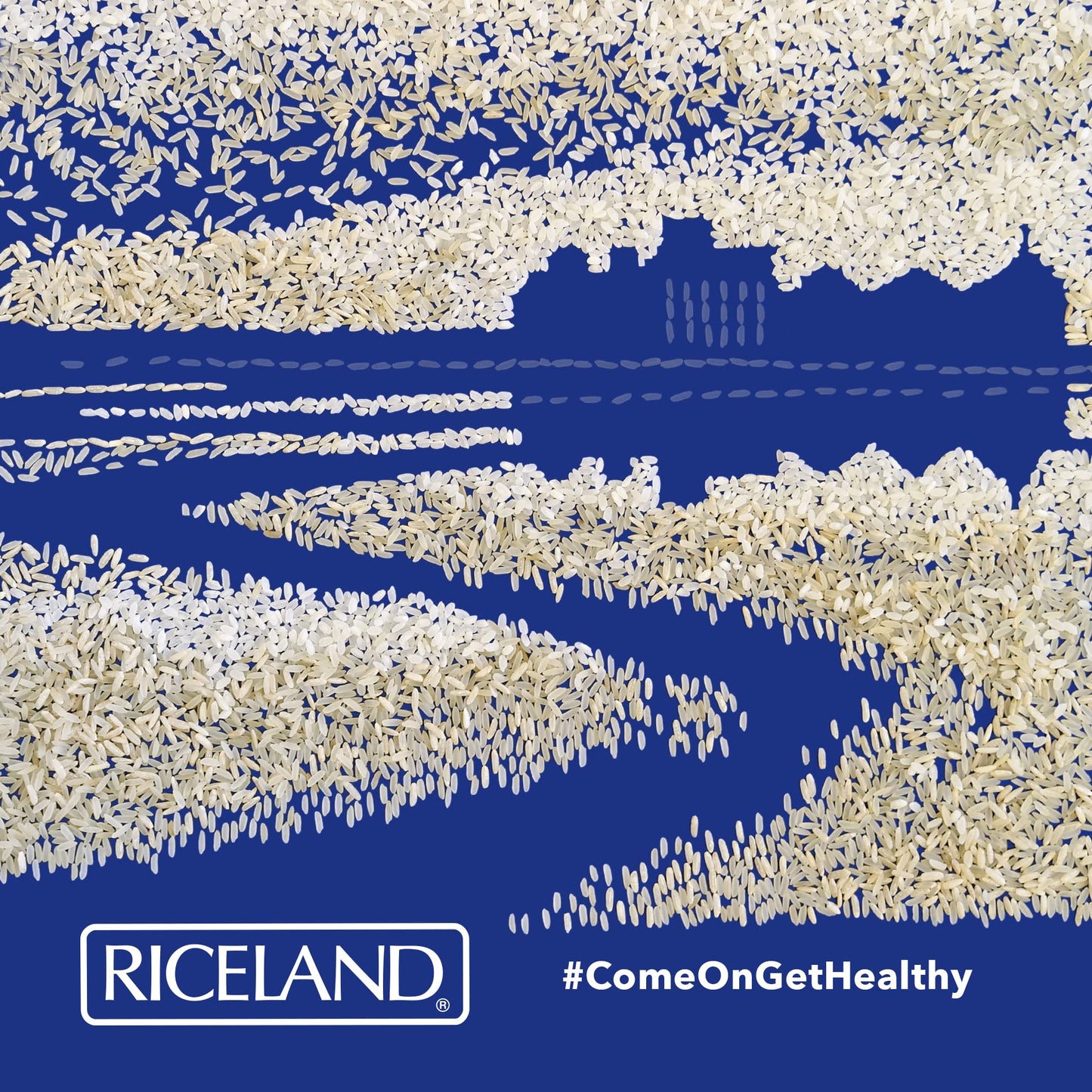 Riceland Long Grain White Rice, 2Lb, Pack Of 3