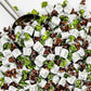Fusion Sweets Chocolate Filled Candy, Hard Mints, 1 Pound Bulk Bag, Approx 80 Pieces, Naturally Flavored, White