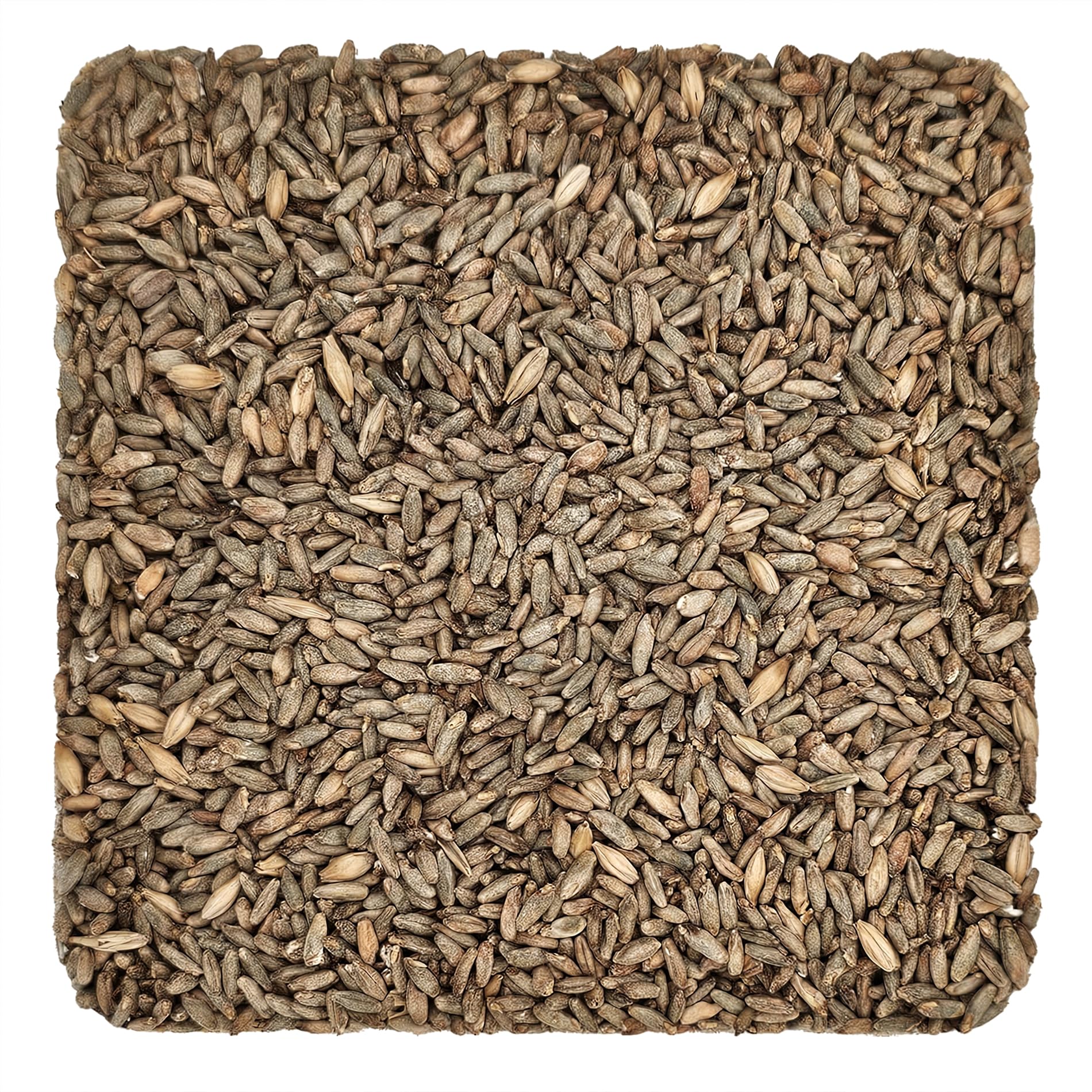Briess-BM-5332 Rye Malt (5 lb) - Brown