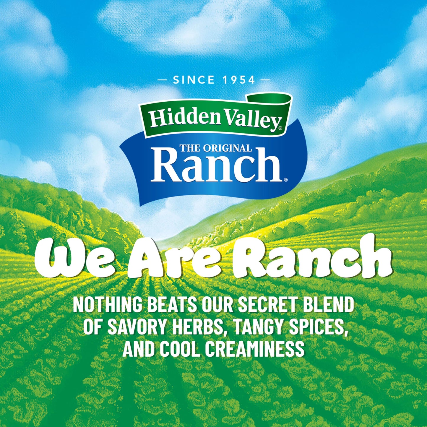 Hidden Valley Original Ranch Condiment and Dressing, Easy Squeeze Bottle, 16 Fl Oz (Package May Vary)