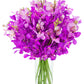 KaBloom Flowers - Mother's Day Collection - Moondance Purple Mokara Orchids (20 stems) With Vase.Gift for Birthday, Sympathy, An