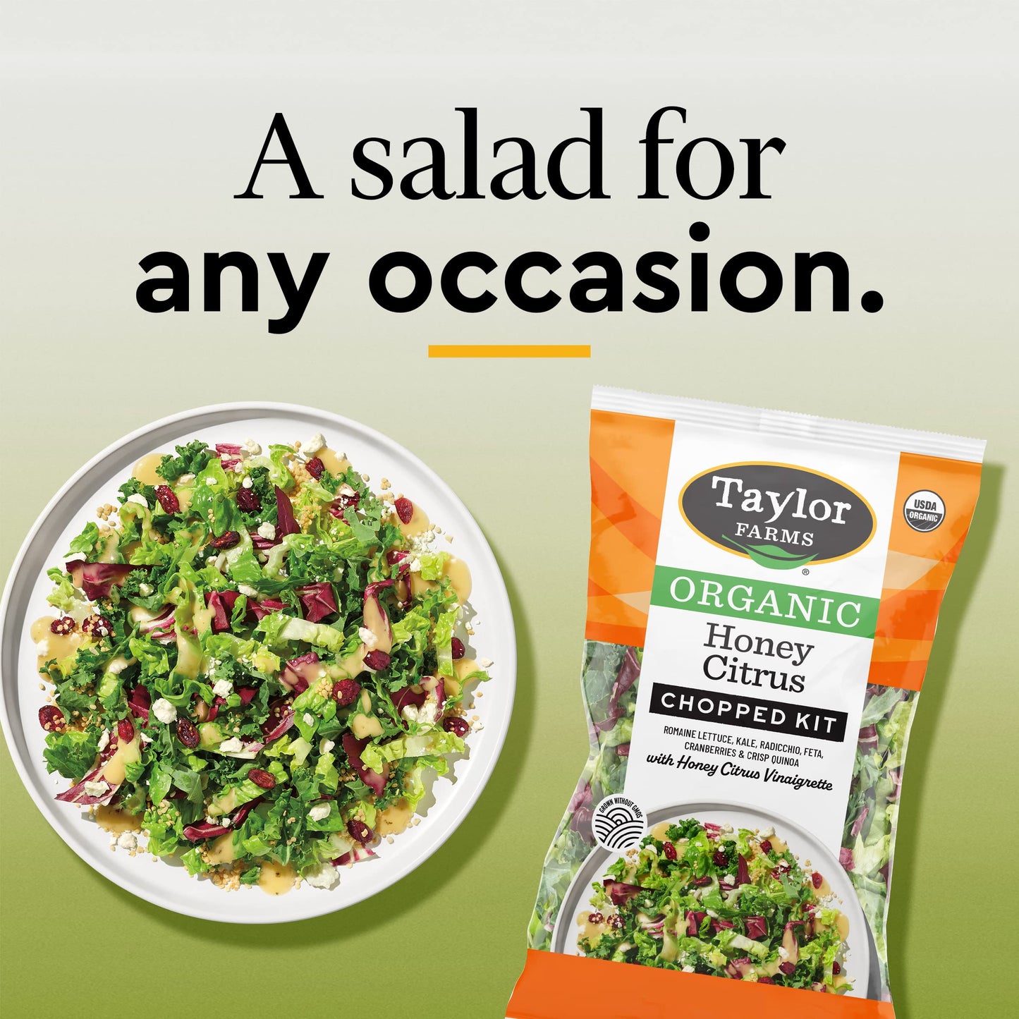 Taylor Farms, Organic Honey Citrus Chopped Salad Kit, 8.8 Ounce