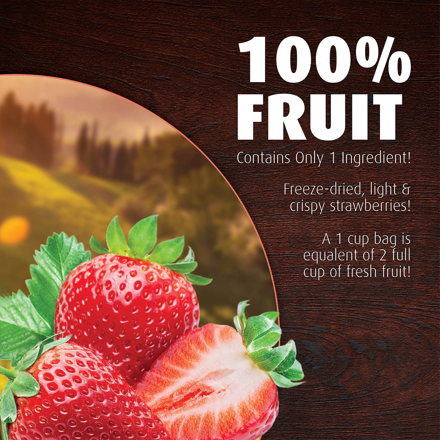Brothers All Natural, Strawberry Freeze Dried Fruit Crisps, Gluten Free, Non-Gmo, Nothing Added, 1 Oz. Resealable Pouch (Pack Of