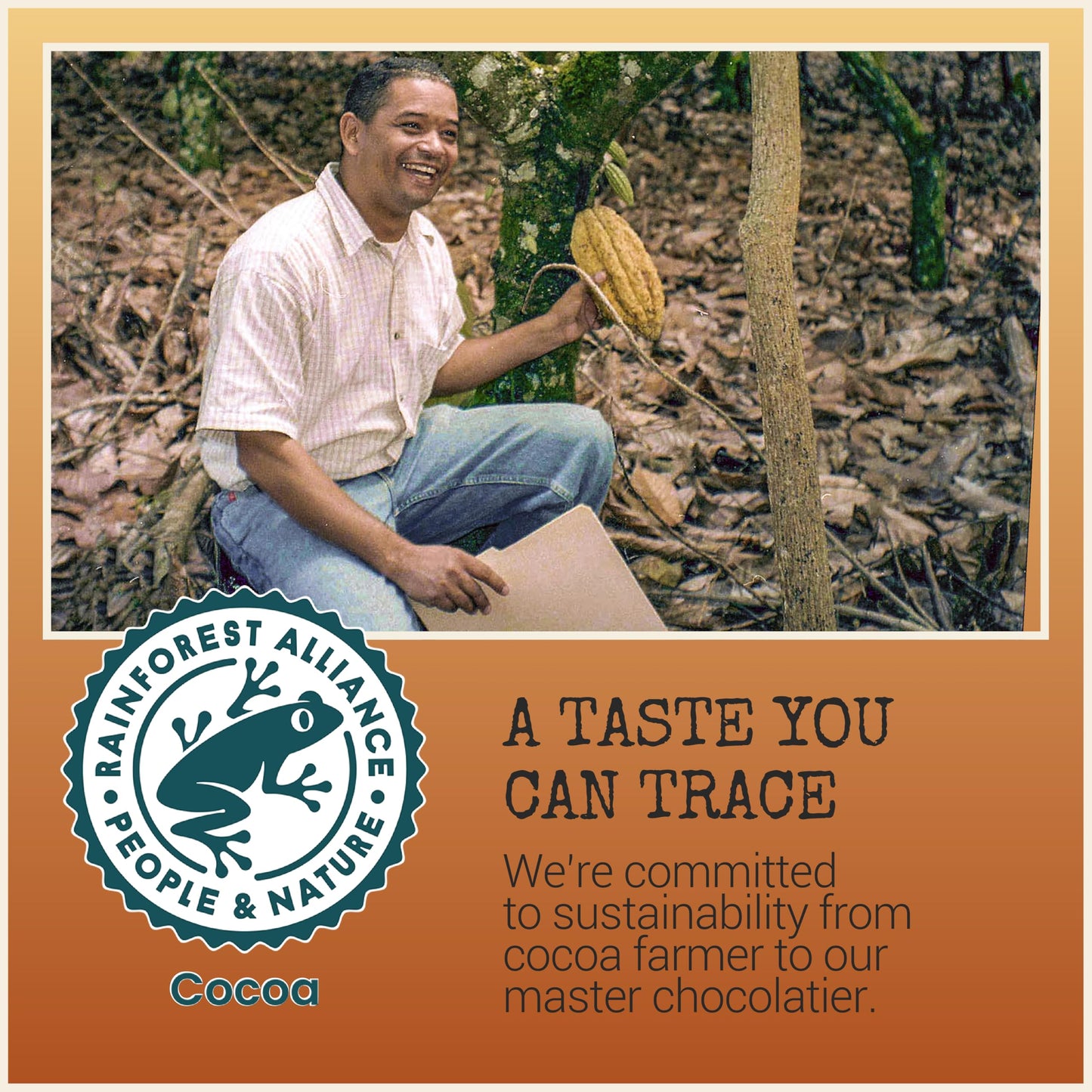 Chocolove Pretzel Milk Chocolate Bars | 33% Cocoa | Infused With Gluten-Free Pretzel Bits | Crafted With Silky Belgian Chocolate | Non Gmo, Rainforest Alliance Certified, 3.2Oz Bar (12 Pack)