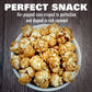 Caramel Popcorn Tin, 17 Ounce (1 Gallon Tin), Birthday Gifts, The Hampton Popcorn & Candy Company