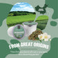 Organic Jasmine Tea K-Cup Pods  24 Pods by FGO - Keurig Compatible - Naturally Occurring Caffeine  enhanced Jasmine Green Tea is USDA Organic  Non-GMO  & Recyclable