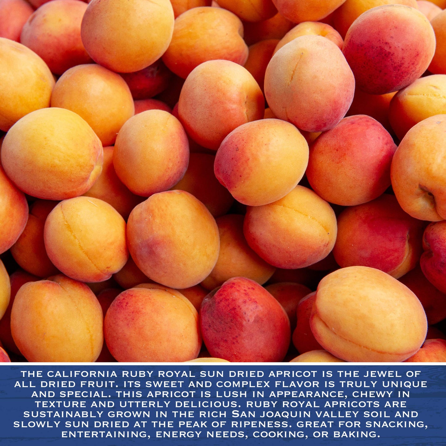 Traina Home Grown California Sun Dried Ruby Royal Apricot Halves - Seasonal/Limited - Healthy, No Sugar Added, Non Gmo, Gluten Free, Kosher Certified, Vegan, Packed In Resealable Pouch (2 Lbs)