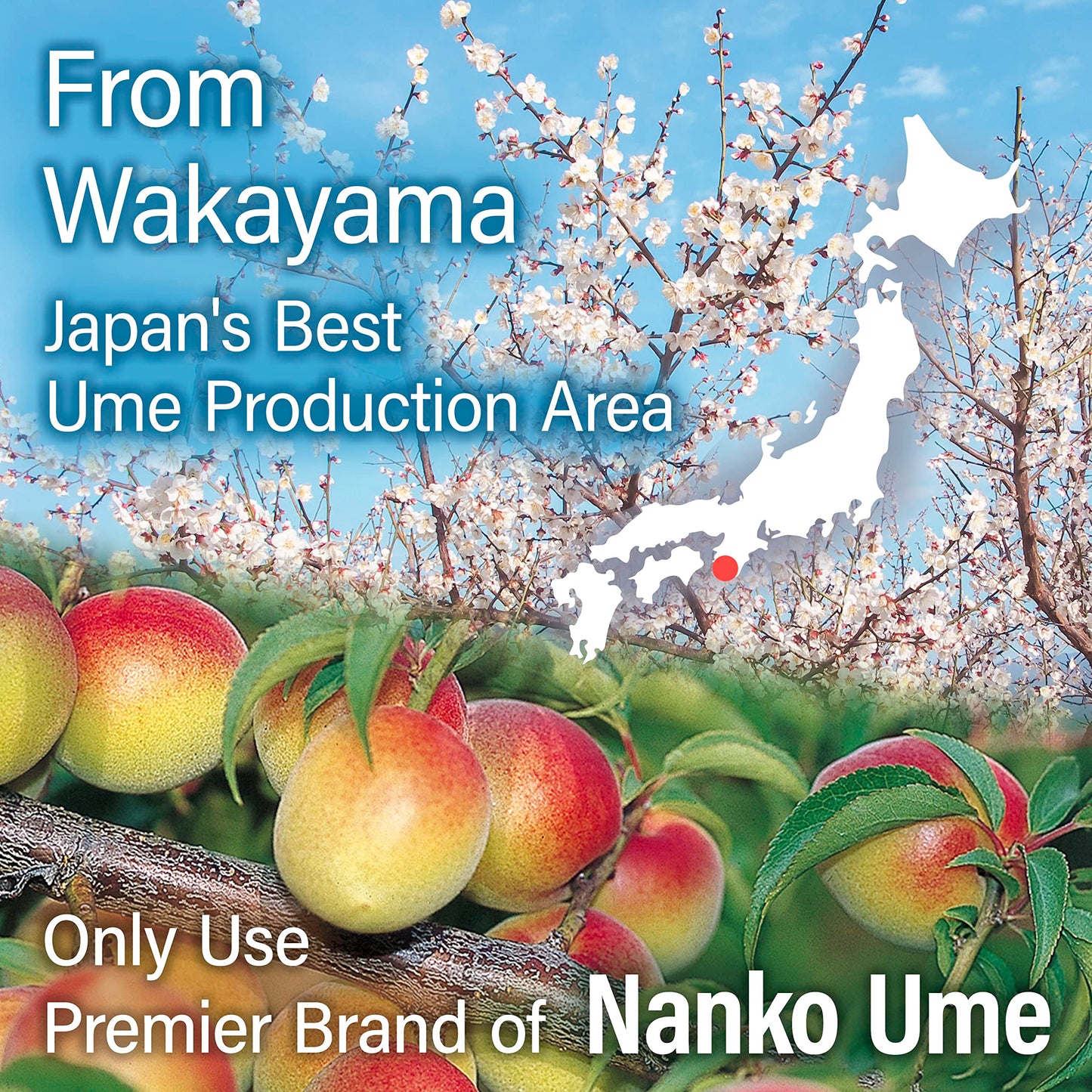 Umeboshi - Japanese Pickled Plums Paste, Using The Premier Brand ''Kishu Nanko-Ume'' 100%, Vegan, Allergen & Additive-Free