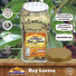 Rani Bay Leaf (Leaves) Whole Spice Hand Selected Extra Large 16Oz (1Lb) 454G Bulk Pet Jar ~ All Natural | Gluten Friendly | Non-Gmo | Kosher | Vegan | Indian Origin (Tej Patta)