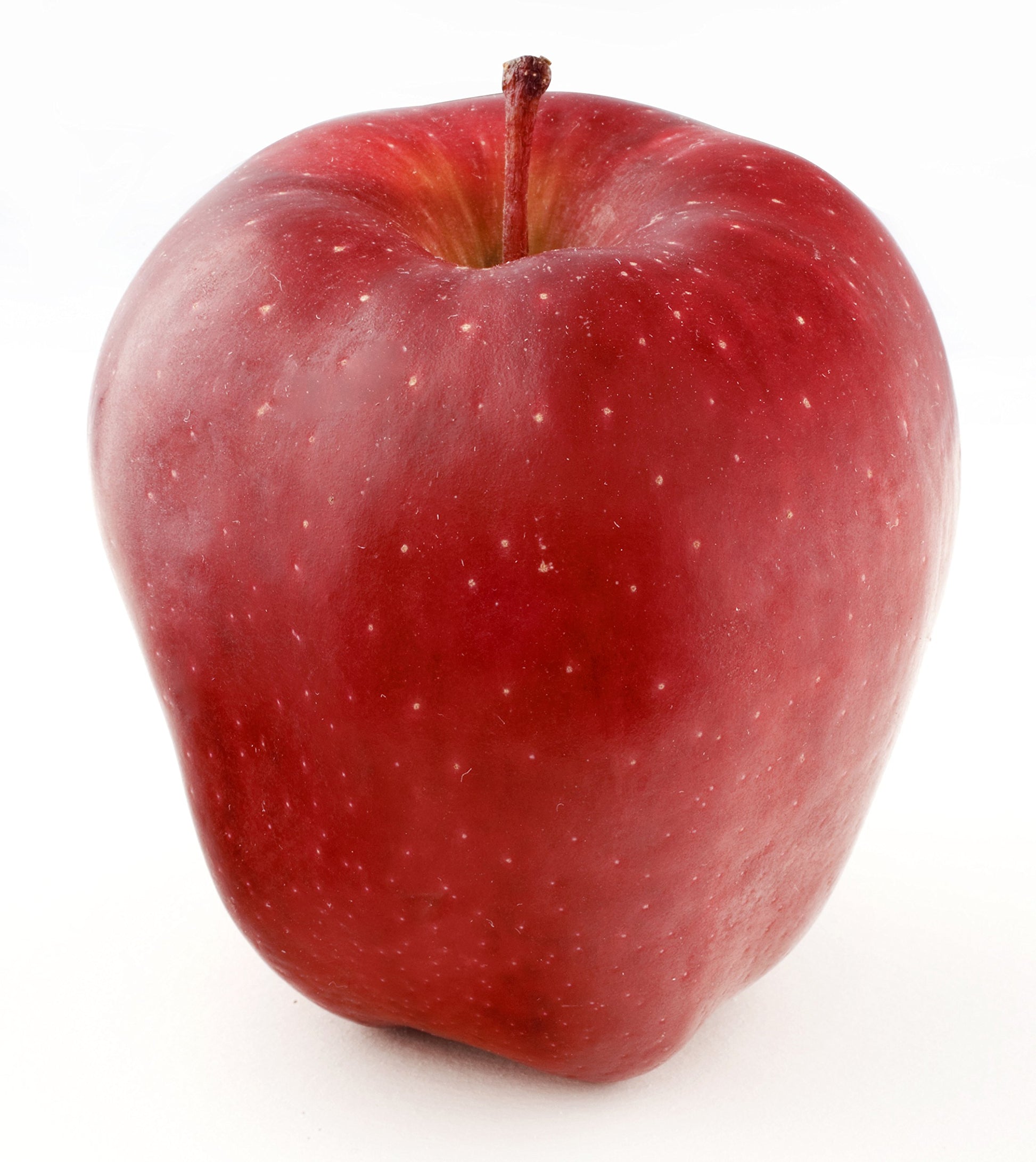 Organic Cosmic Crisp Apple