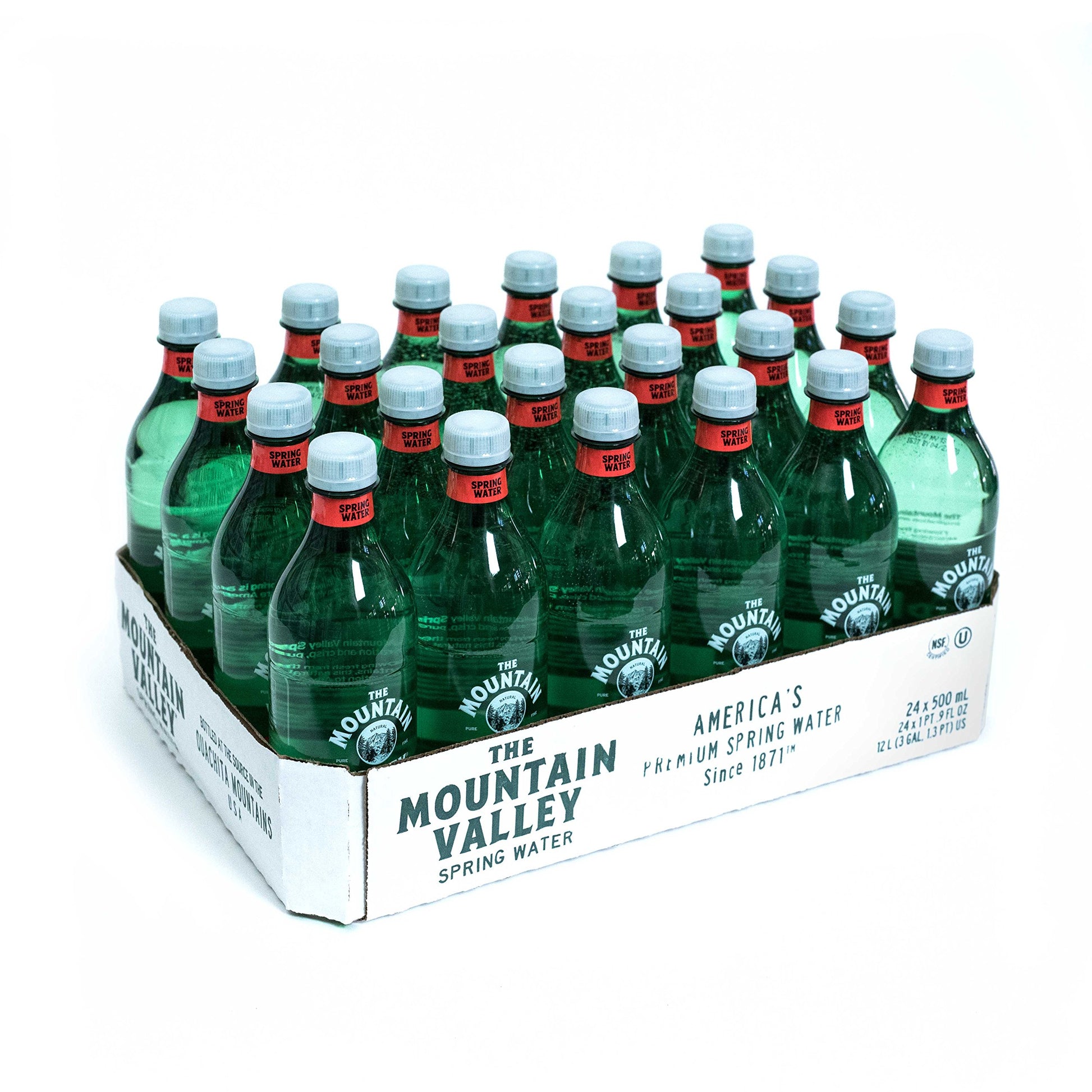 The Mountain Valley Spring Water 500 ML (16.9 Fl Oz) - Pack of 24 Bottles