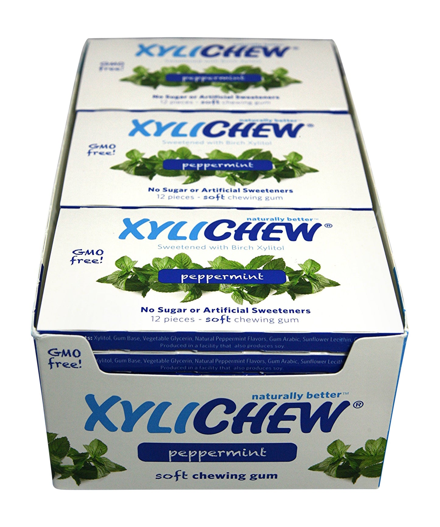 Xylichew 100% Xylitol Chewing Gum - Sugar Free, Non-GMO, Gluten Free - Peppermint Flavor, 288 Count (12 Pack of 24)