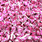 Buha Sweets Milk Chocolate Strawberry Ice Cream Cone Candy - 1 Pound Bag, Individually Wrapped, Red, 100 Pieces