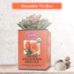 Brew La La Organic Green Tea - Ginger Peach Flavor - 50 Tea Bags - Low Caffeine - USDA Organic - Non-GMO - Gluten Free