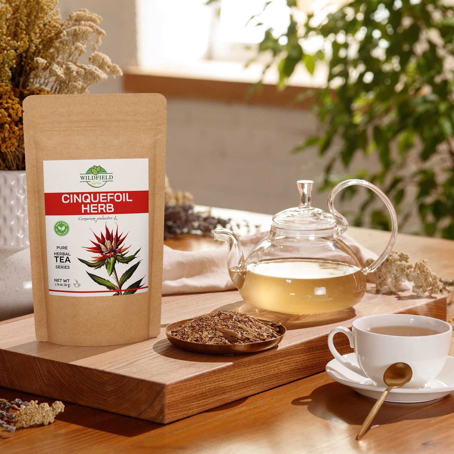 1.8 Oz Cinquefoil Herb Dried Five Finger Grass Herb Potentilla Palustris Tea (Comarum Palustre L.) - 50G Sabelnik Herbal Tea