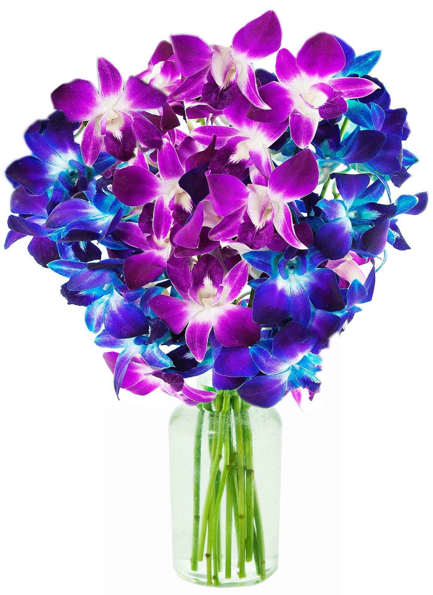 Kabloom Flowers - Exotic Orchid Bouquet Of 5 Blue Dendrobium Orchids & 5 Purple Dendrobium Orchids - Gift For Birthday  Sympathy  Anniversary  Thank You  Valentine  Mothers Day Fresh Flowers