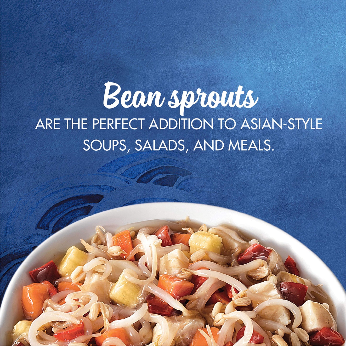 La Choy Bean Sprouts, 14 Ounce, 12 Pack