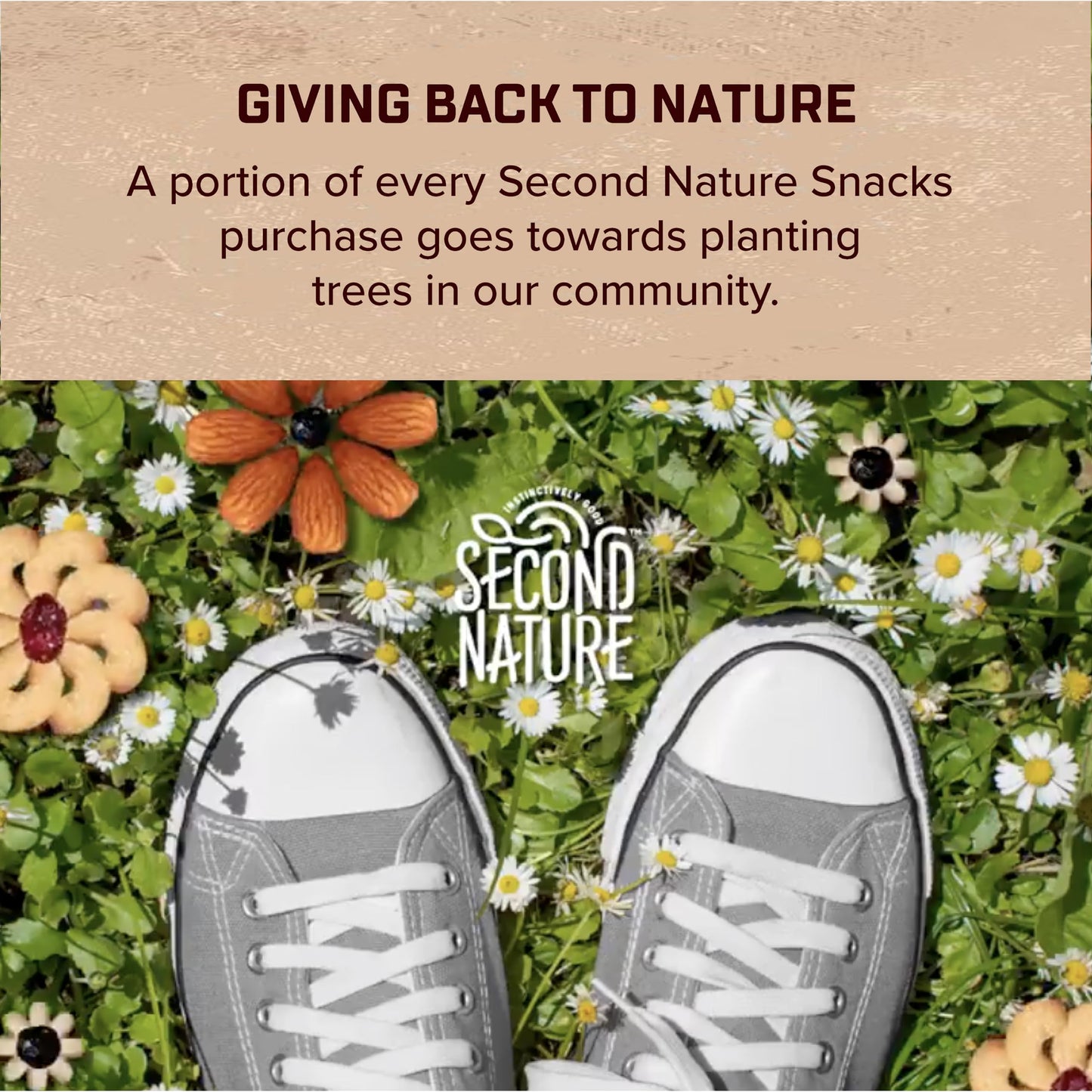 Second Nature Fiber Boost Smart Mix, Kosher, Gluten Free & Non-GMO, 10 Ounce (Pack of 6)