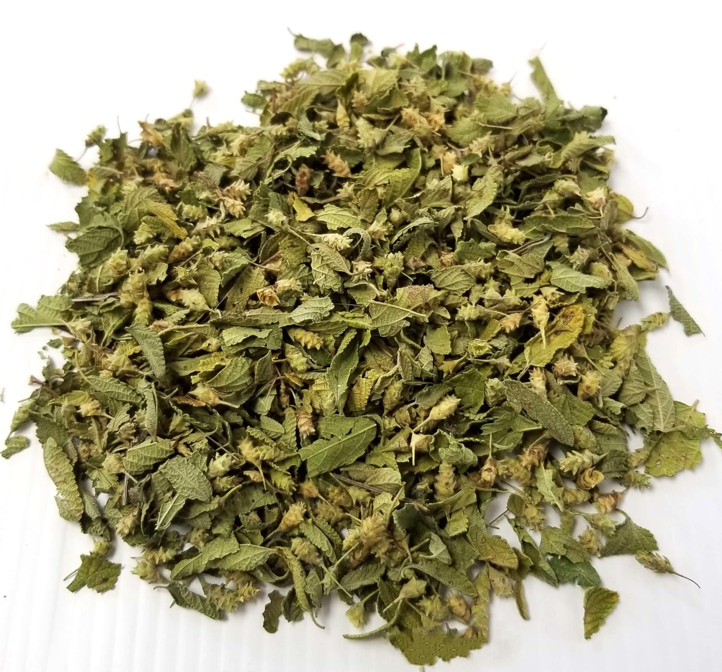 Mexican Oregano - Dried, 4oz