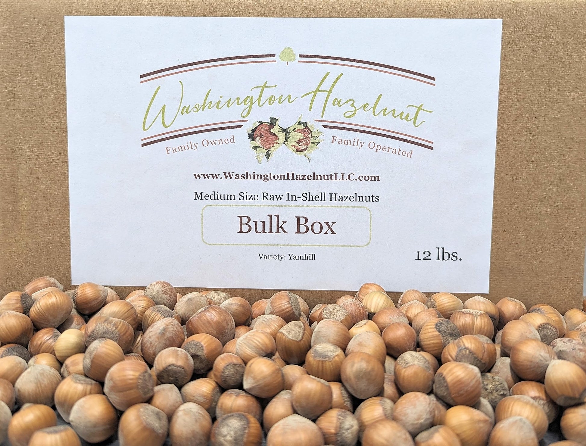 Hazelnuts in-shell from our family orchard in Washington state. (Raw, 12 pound Bulk Box)