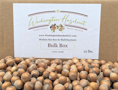 Hazelnuts in-shell from our family orchard in Washington state. (Raw, 12 pound Bulk Box)