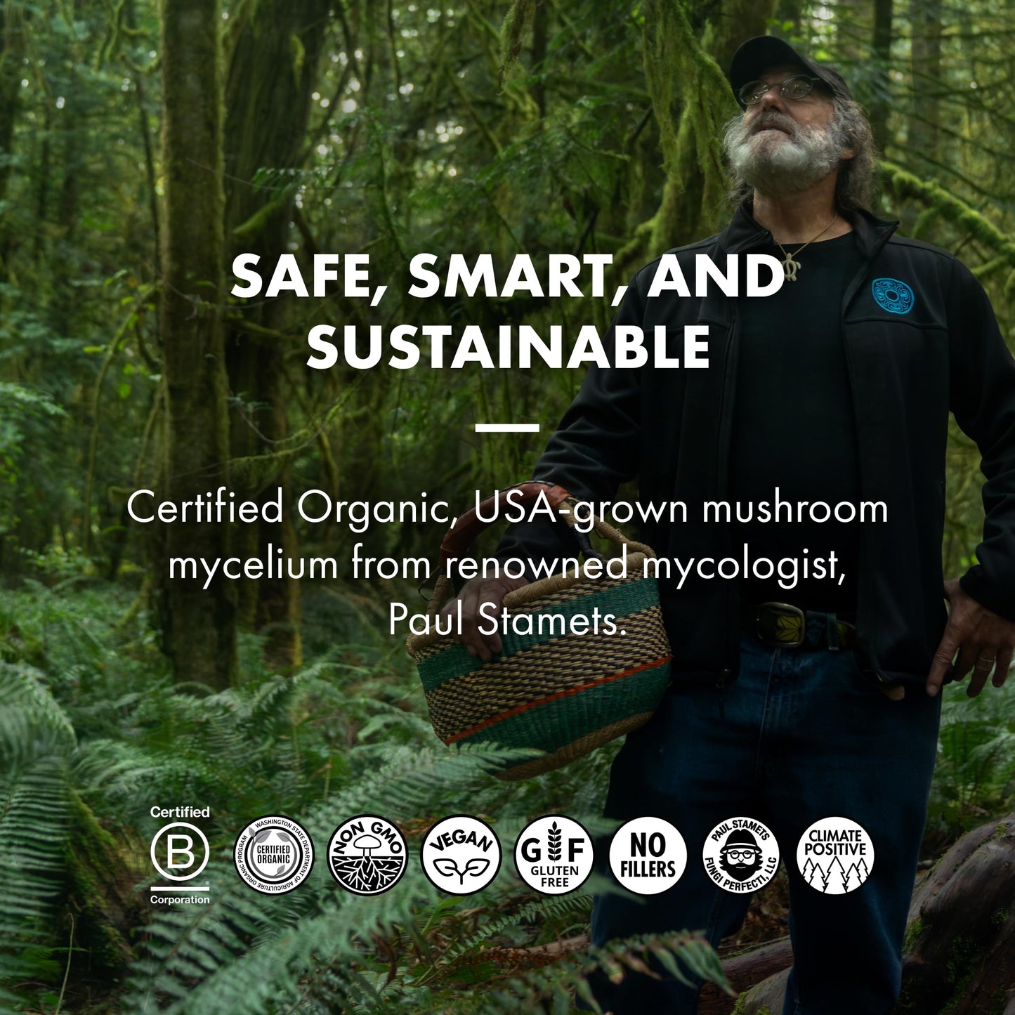 Host Defense Mycobrew Mocha - Mocha Drink Mix - Mocha Powder Includes Lion'S Mane Mushroom - Drink Mix With Fair Trade Certified