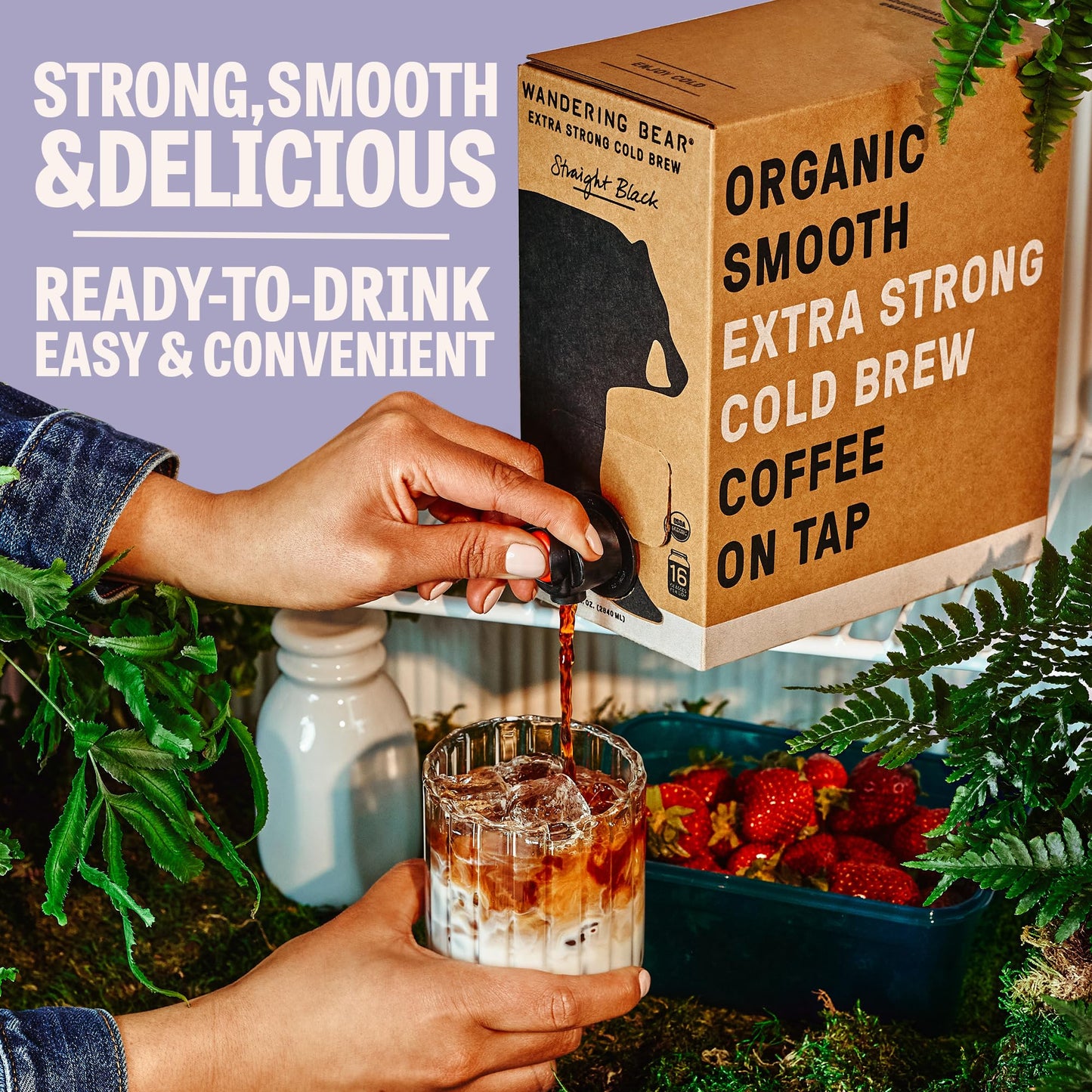 Wandering Bear Extra Strong Organic Vanilla Chai Cold Brew Coffee On Tap, Iced Coffee, 96 Fl Oz - Smooth, Unsweetened, Shelf-Sta