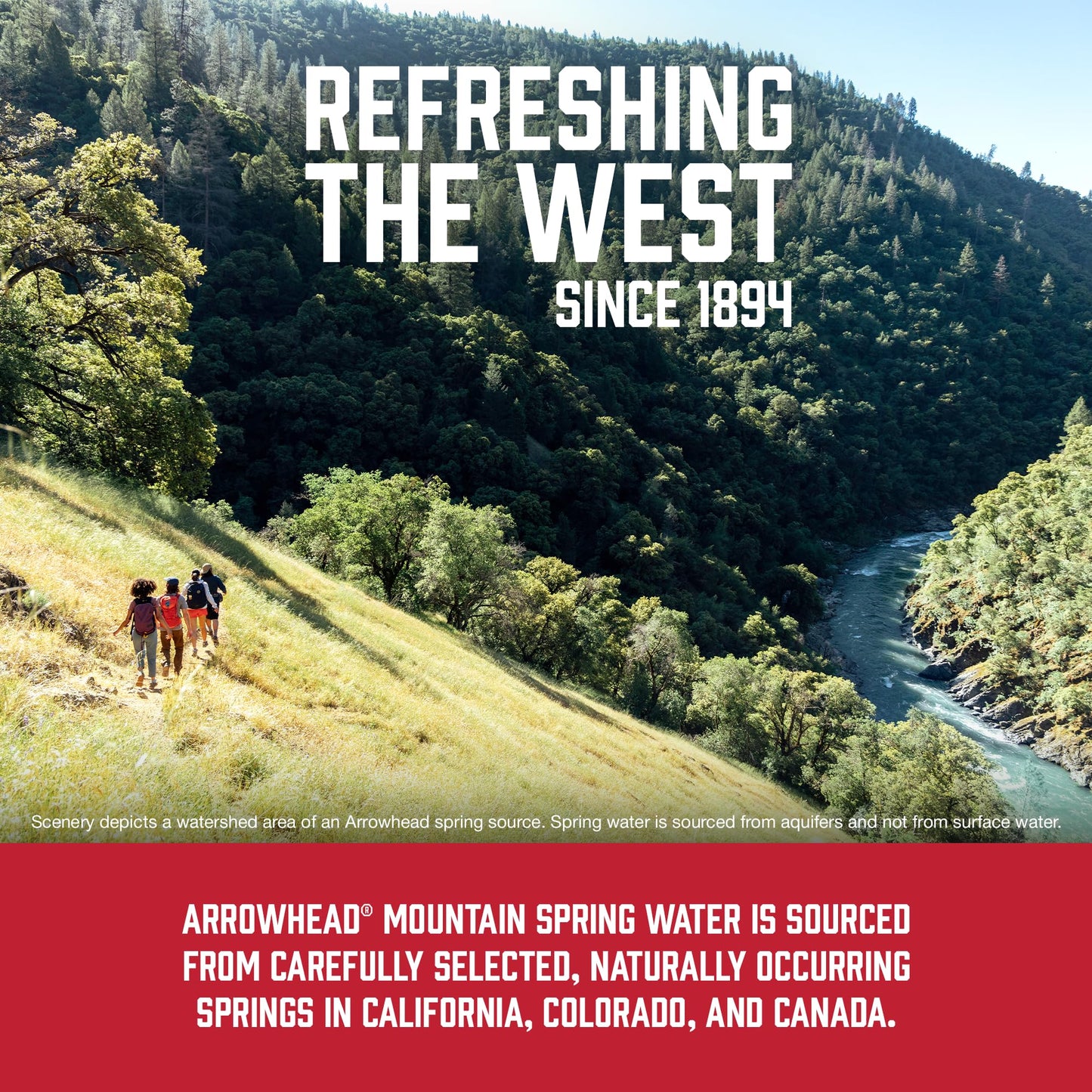 Arrowhead Mountain Spring Water Bottles, 24 Pack - Still Bottled Water with Naturally Occurring Minerals for Taste - 16.9 Fl Oz