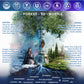 Nordic Tree Water Birch Tree Sap - Electrolytes, Minerals, Prebiotics, Vitamins, Pack of 12, BPA-Free Tetra Pak