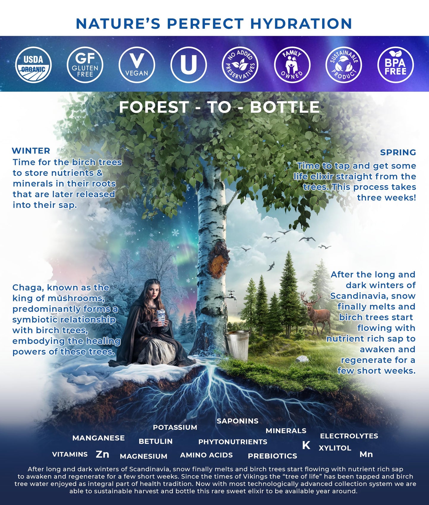 Nordic Tree Water Birch Tree Sap - Electrolytes, Minerals, Prebiotics, Vitamins, Pack of 12, BPA-Free Tetra Pak
