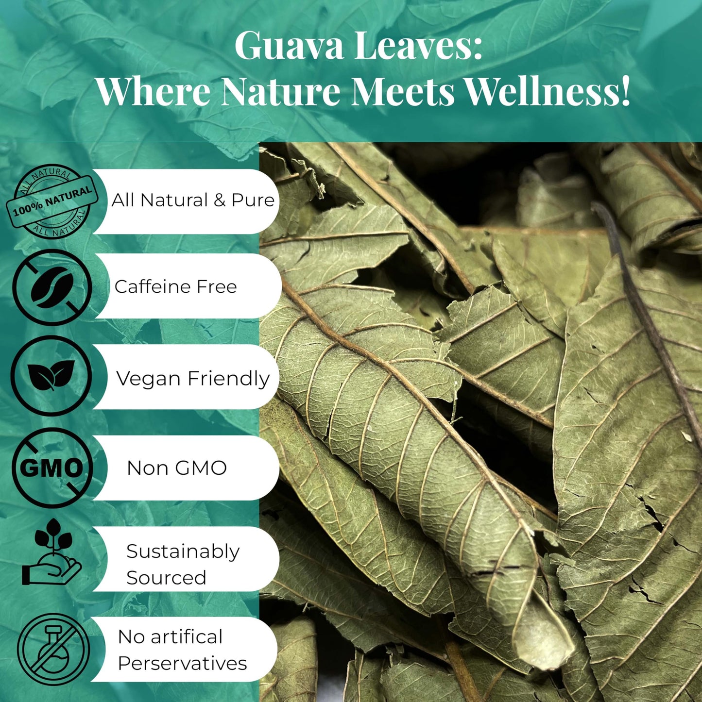 Akshit Guava Leaves Tea, Dried Herbal Tea, Non-GMO, Caffeine Free, 7.8oz, 2.6 Ounce (Pack of 3)