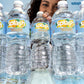 Splash Refresher, Pineapple Mango Flavor Water Beverage, 16.9 Fl Oz Plastic Bottles (24 Count)