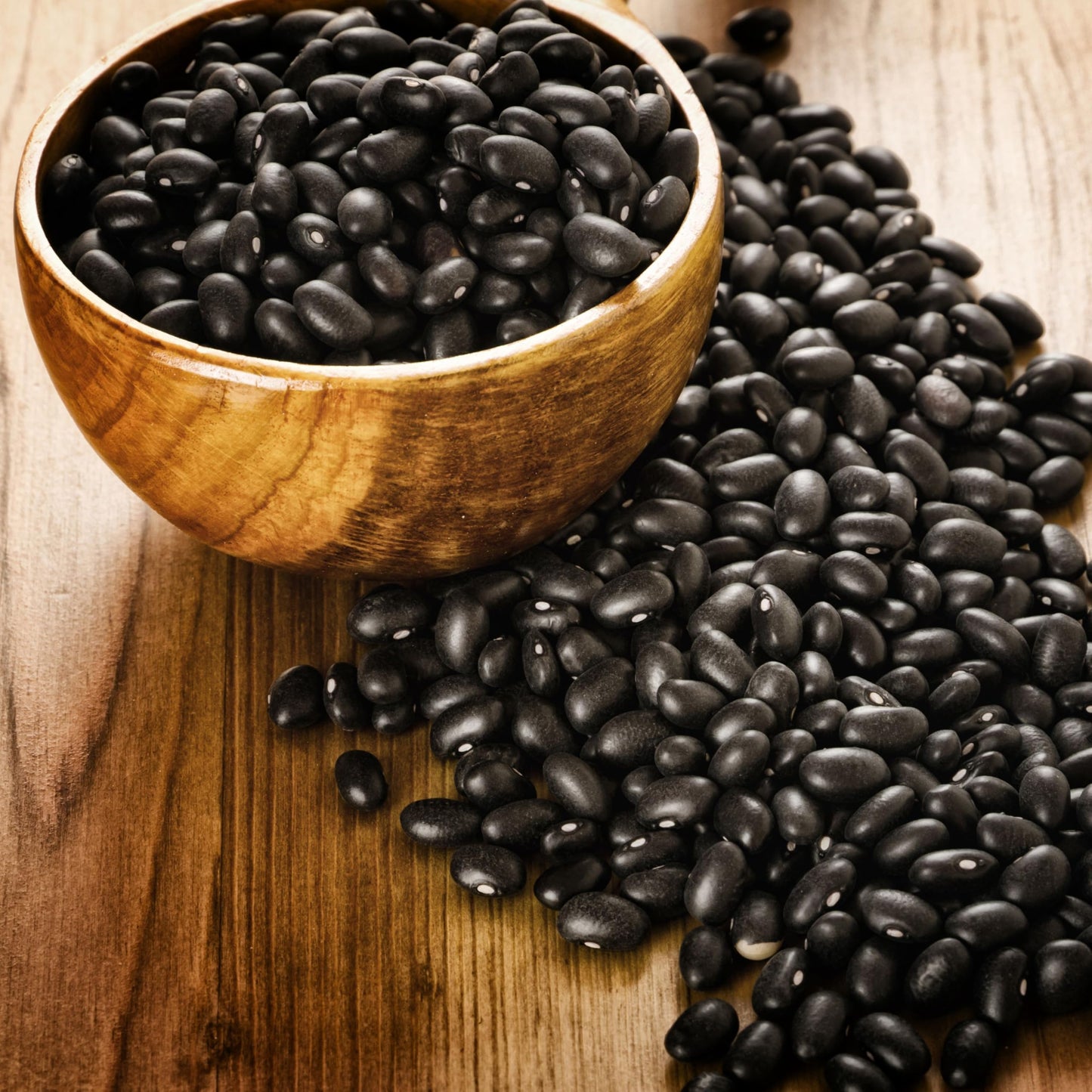 Augason Farms Dried Black Beans 4-Gallon Pail, Bulk Food Storage, Emergency Food Supply, Everyday Meals, 237 Servings