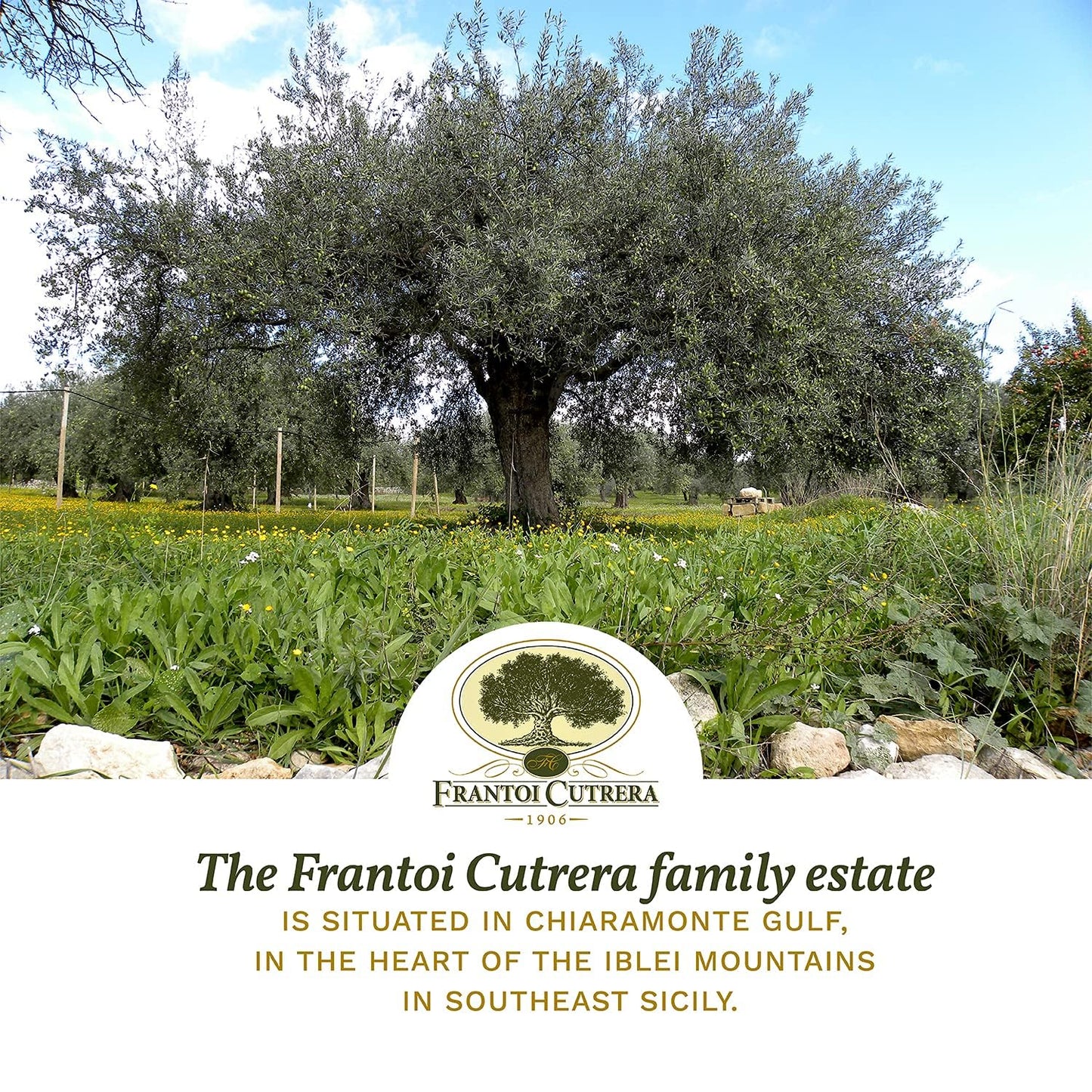 Frantoi Cutrera - Segreto Degli Iblei - Extra Virgin Olive Oil - Sicilian D.O.P Certified Italian, Pure 2022/23 Early Harvest Fi