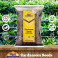 Rani Cardamom (Elachi) Decorticated Seeds Indian Spice 80oz (5lbs) 2.27kg Bulk ~ All Natural | Vegan | Gluten Friendly | NON-GMO
