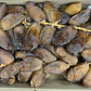 Vintagee Algeria Premium Branched Deglet Noor Dates, 2 lb (907g)