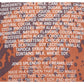 JENIS SPLENDID ICE CREAMS Blackout Chocolate Cake Ice Cream, 1 PT