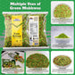 Rani Green Mukhwas (Special Digestive Treat) 7oz (200g) ~ Vegan | Indian Candy Mouth Freshener | Kosher