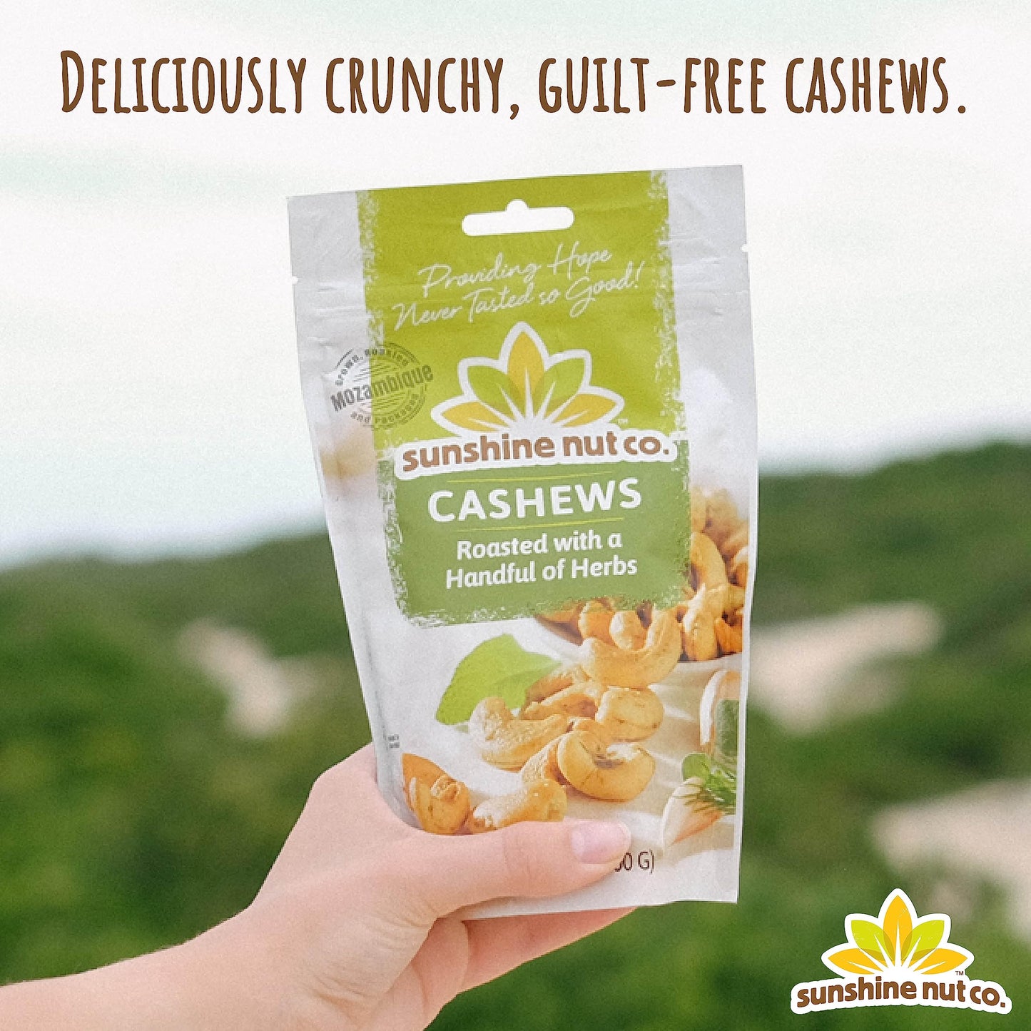 SUNSHINE NUT COMPANY, Cashews, Herbed, Roasted, Pack of 6, Size 7 OZ