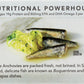 Wild Planet, Anchovies Wild In Olive Oil, 4.37 Ounce