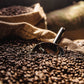Green Mountain Coffee Roasters Wild Mountain Blueberry, Ground Coffee, Flavored Light Roast, Bagged 12 Oz, 1 Count