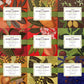 Elephant Park Premium Organic Holiday Tea Bag Sampler Gift Box - 90 Bags, 9 Exotic Herbal Flavors, Mixed Colors