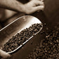 Caffe Darte Firenze Whole Bean Espresso Coffee, 1 Pound, Pack Of 2