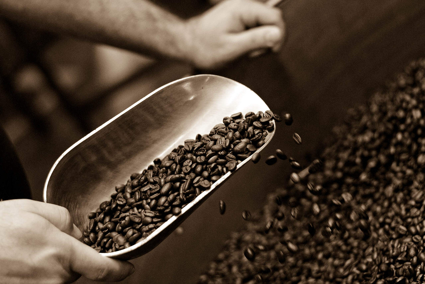 Caffe Darte Fabriano Wood Roast Reserve Whole Bean Espresso Coffee, 12 Ounce