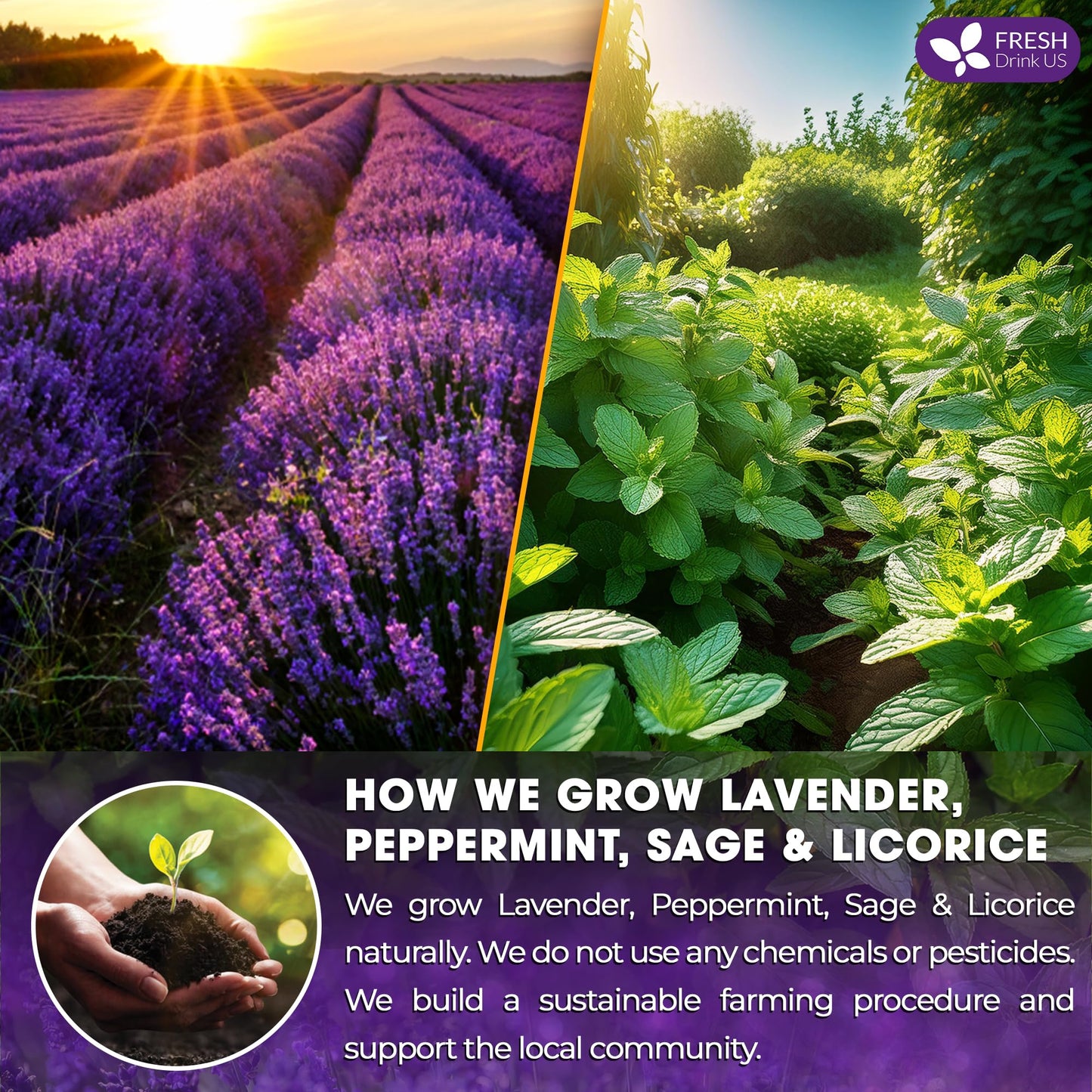 FRESHDRINKUS Lavender Mint Tea, 100% Natural, 35 Tea Bags, Vegan, No Sugar, No Caffeine