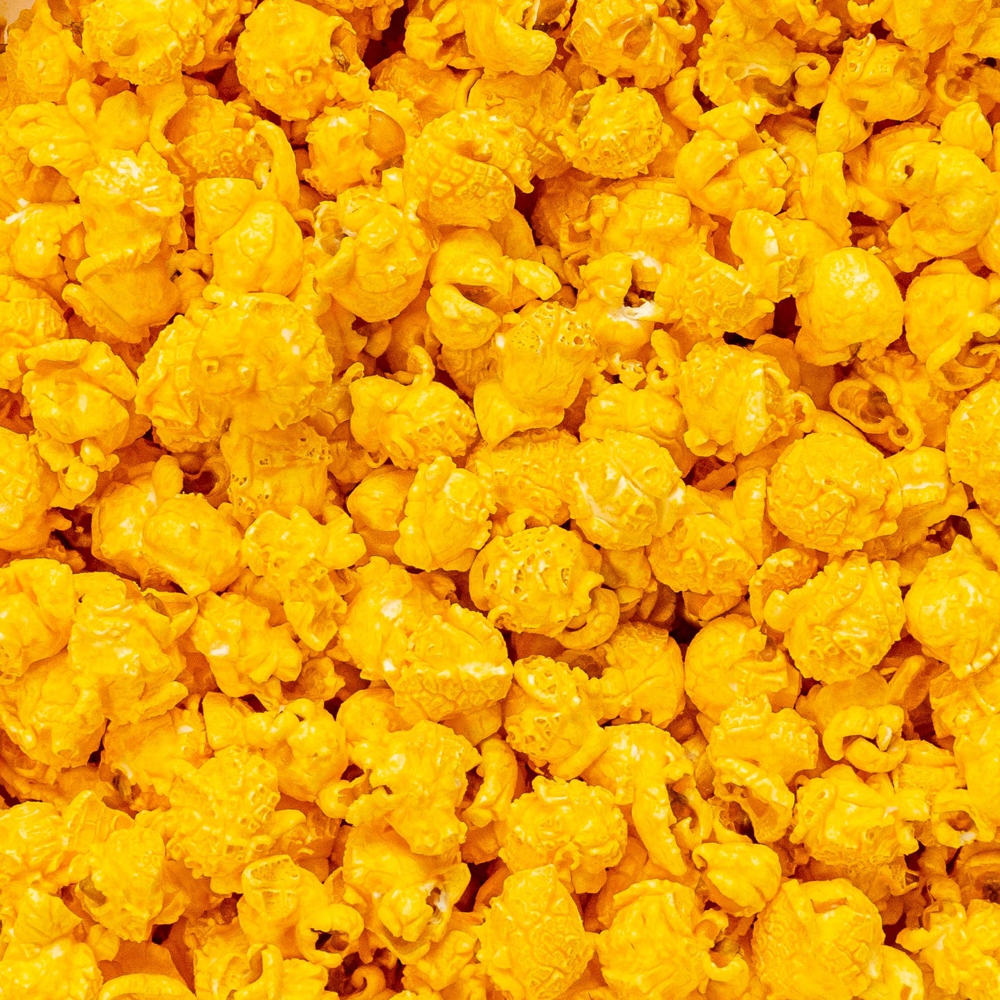 Colby Ridge Cheddar Cheese Gourmet Popcorn Bulk 5 Gal (80 Cups) Gluten Free 45 Ounce
