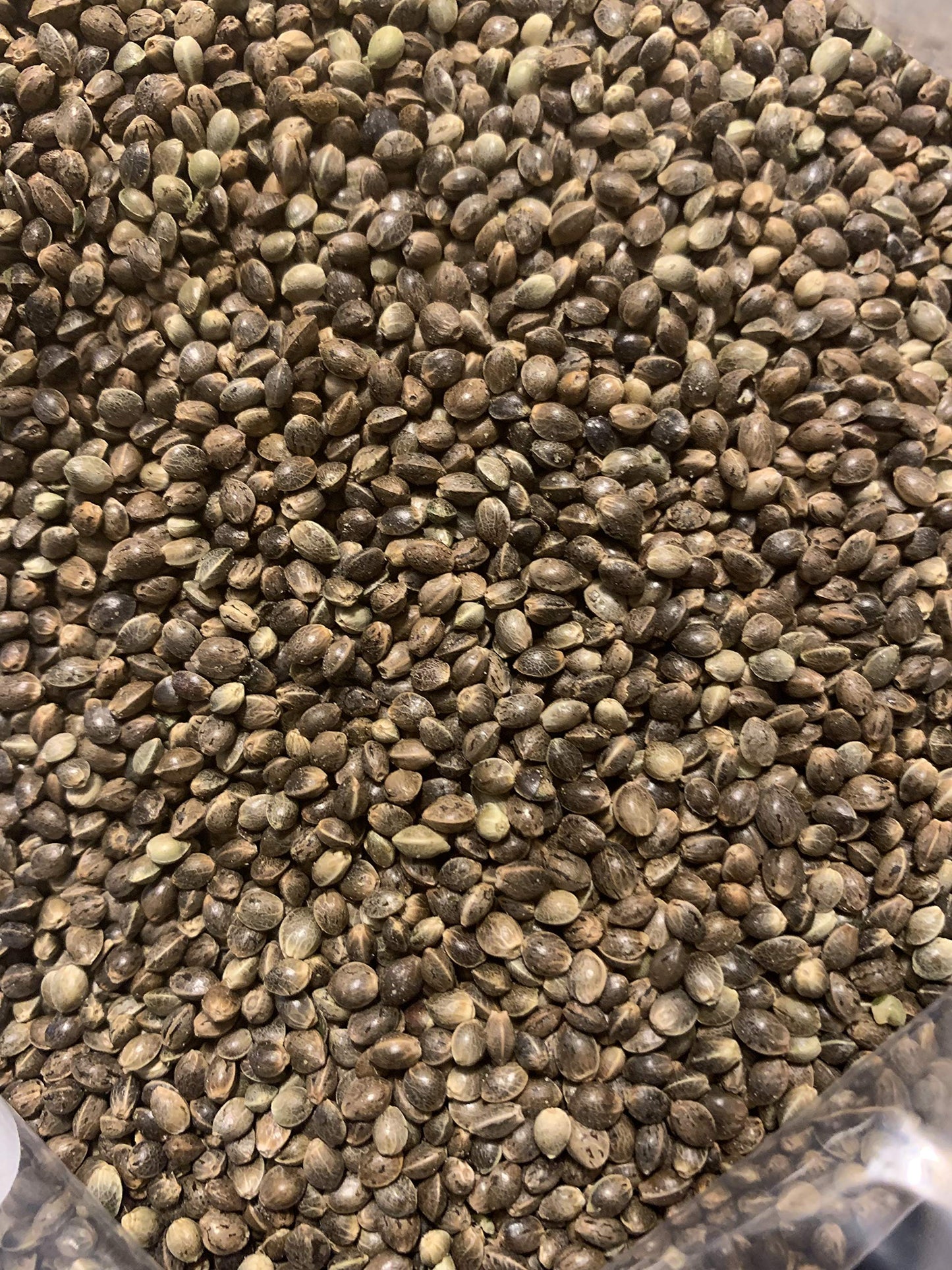 Whole Hemp Seeds Nuts Premium 400G Unshelled Grain, Vegan, Allergen Free, Kosher, Organic