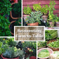 Culinary Herb Seeds Garden Collection | Premium Assortment | 18 Non-Gmo Seed Packets: Savory, Mint, Anise, Fennel, Cilantro, Sag