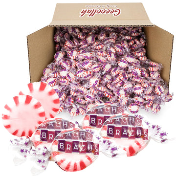 Star Brites Peppermint Candy - Shareable Hard Candies Individually Wrapped Bite Treat Sizes For Refreshing Your Sweet Tooth And