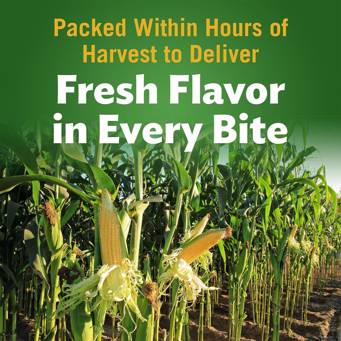 Del Monte Fresh Cut Golden Sweet Whole Kernel Corn Canned Vegetables, 4-Pack, 15.25 Oz Cans